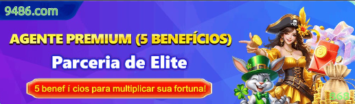 Interface Premium 868